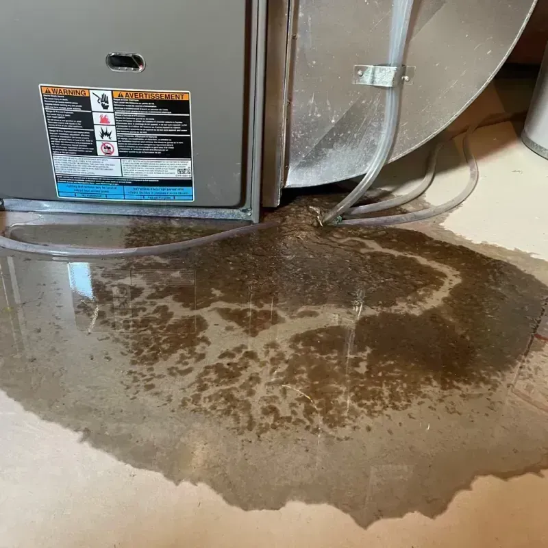 Appliance Leak Cleanup in Morrisonville, IL